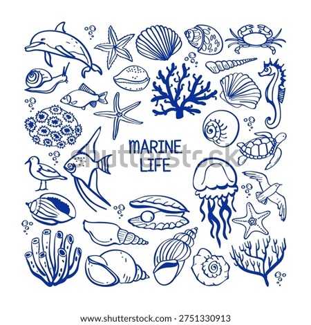 Vacation vibes hand drawn vector illustrations. Vector set with marine life.