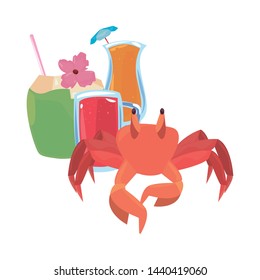 vacations tropical summer flat design