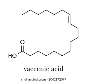 Vaccenic Acid Molecule. Trans Fatty Acid, Present In Animal Fat And Milk. Skeletal Formula.