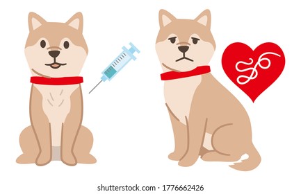 Vaccinated dogs and dogs infected with heartworm