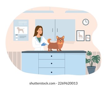 Vaccination of animals. Woman with syringe and dog, veterinary clinic. Doctor and specialist with pet makes injection. Health care and prevention in hospital. Cartoon flat vector illustration