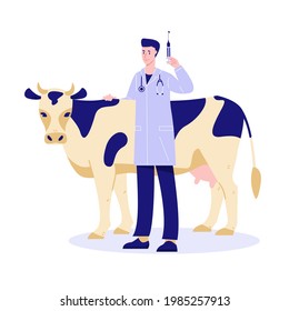 Vaccination of livestock. A veterinarian with a syringe next to a cow. Vector illustration in flat cartoon style.