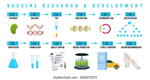 Vaccination, vaccine production infographics. Medicine manufacturing. Medical research test. Coronavirus prevention. Microbiology analysis. Vector illustration in flat style on a white background.