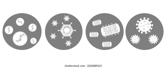 The vaccine icons that represent in 4 types : mRNA, Viral vector, Protein subunits and inactivated viral