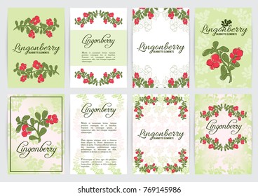 Vaccinium vitis-idaea ( lingonberry or cowberry) A4 templates