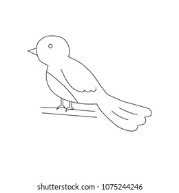 Vactor a bird picture is sparrow drawing for painting on an isolated white background. Hand drew a graphic style. Detailed animal. Great for label, poster, print.