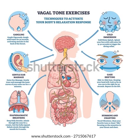 Vagal tone exercise diagram visualizes the vagus nerve pathway with brain, heart and gut, summarizing relaxation techniques and breath, gaze, gargle cues for calming. Outline diagram