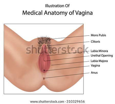 karvaton vaginas