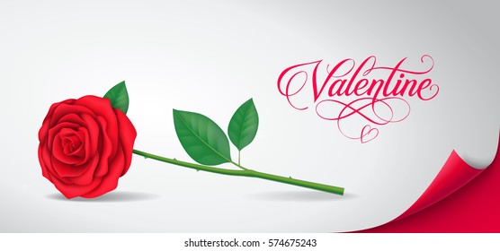 Valentine calligraphic lettering with rose