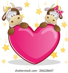 Valentine card with Lovers Cows 