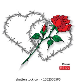 Valentine card wedding concept love two Barbed wire hearts, flower red rose,  isolated on white  background vector illustration