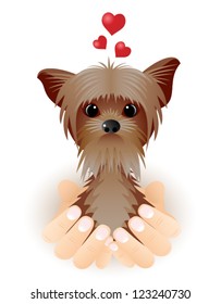 Valentine card with Yorkshire Terrier in love sitting in palms.