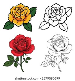Valentine colorful roses vector illustration with white background 