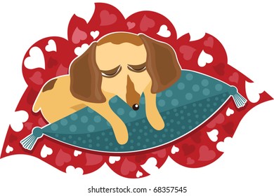 Valentine day sleeping dog