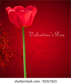 Valentine day vector flower background. Red tulip illustration