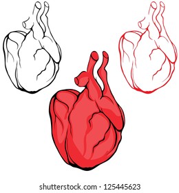  Valentine love heart vector button or icon. Human body anatomy red sketch set isolated on white background as medical health care symbol of cardiovascular organ.