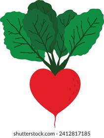 Ilustración de la remolacha de San Valentín 