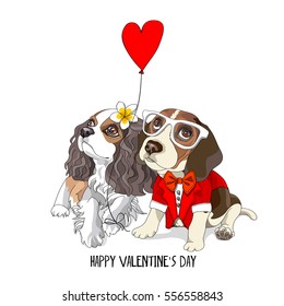 Valentine's card. Beagle in a tuxedo and Cavalier King Charles Spaniel with pink heart balloon. Vector illustration.