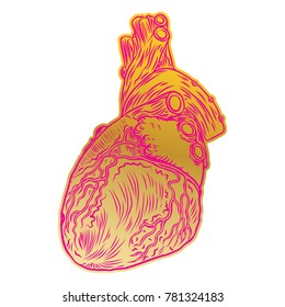 Valentine's day anatomical human heart. Print on t shirts concept. Sticker, pin or patch. flesh tattoo hand drawing idea. Vector.