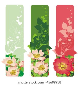 Valentine's day banners with flowers & leafs