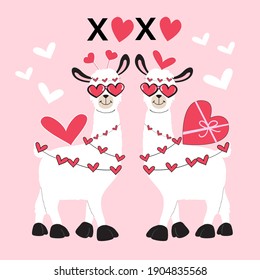 Valentine's day card with cute llamas and xoxo letters. Funny cartoon animals for kids. Love couple