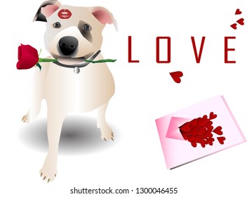Valentine's day  card. Dog cute holding red rose in mouth, with text "love" card vector illustration. 