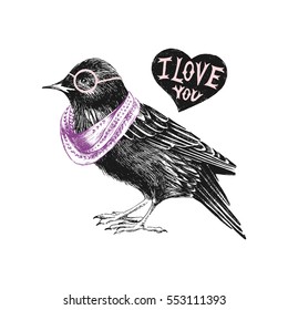 Valentines day card with hand drawn starling and heart