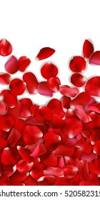 Valentines day card with red rose paddles on a white background, vector illustration