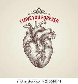 Valentine's Day card. Retro engraving heart