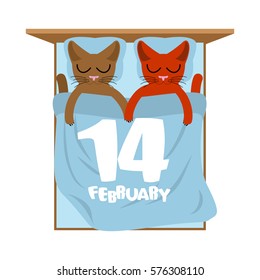 Valentines Day. Cats in bed. Cute cat sleeping love. Lover holiday14 February 