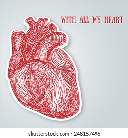 Valentine's Day Greeting Card With Real Heart Sketch