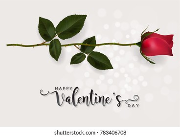 Valentine's day greeting card templates with realistic of beautiful rose on background color. Vector Eps.10