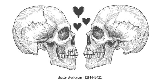 Valentines day: human skull lovers. Skulls man and woman in love.