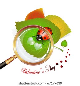 Valentine's day, illustration with hearts and ladybug on leaf seen by a magnifying glass