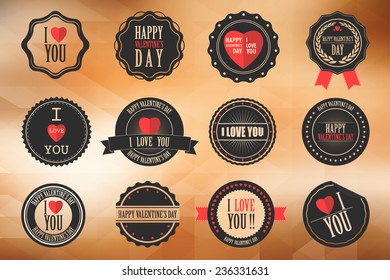 Valentine's Day Labels,Vector EPS10.