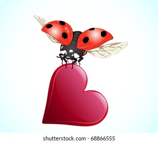 Valentine's day ladybug and heart