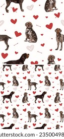 Valentine's day pattern with Wirehaired Pointing Griffon breed dogs and hearts on a white background. Love doodles hearts with pets holiday texture. Square background, repeatable pattern. St Valentine