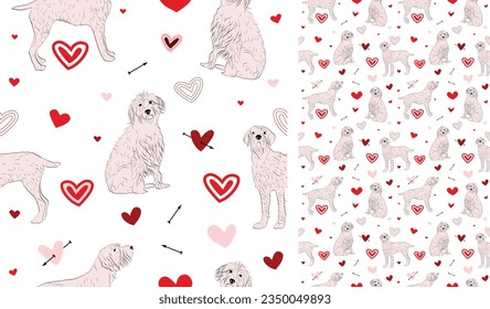 Valentine's day pattern with Wirehaired Pointing Griffon breed dogs and hearts on a white background. Love doodles hearts with pets holiday texture. Square background, repeatable pattern. St Valentine