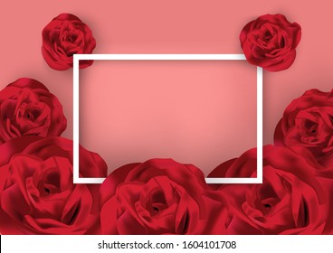 Valentines day pink vector background with rose