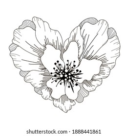 Valentine's Day. Postcard. Chamomile in the shape of a heart is drawn in white and black outline. Stock vector illustration in flat style isolated on white background.