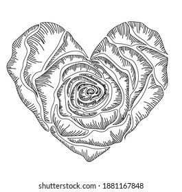 Valentine's Day. Postcard. The heart is white with a black outline and black shading in the form of a rose. Stock vector illustration in outline style isolated on white background.