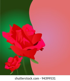 Valentine's day postcard - Red rose vector.