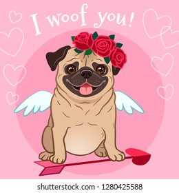 Valentine's day pug dog pet theme card. Cute funny pug puppy in love, dressed as Cupid, with wings, heart arrow, red rose flowers wreath on head, on pink background, with text "I woof you!". 