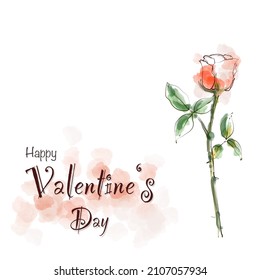 Valentine's Day with Rose flower drawing and watercolor paints on white background. For card, postcard, banner etc.
