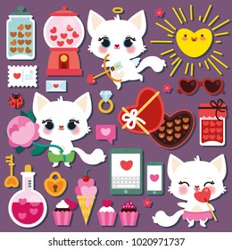 Valentine's Day Set with a cute white kitten