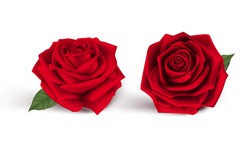 San Valentino Dolce Rose Rosse. Illustrazione Vettoriale Mesh