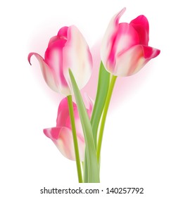 Valentine's day template tulips design. And also includes EPS 10 vector