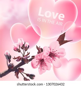 Valentine's Day vector illustration. Realistic blooming pink sakura branch and 3D hearts at pastel pink colors sky background.