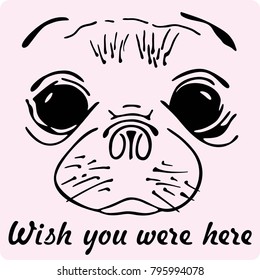 Valentine's day vector illustration with sweet cute animal, sea calf. Wish you were here