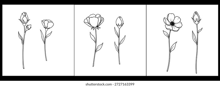 Valentine's day vector illustrations of tulips for romantic gift giving